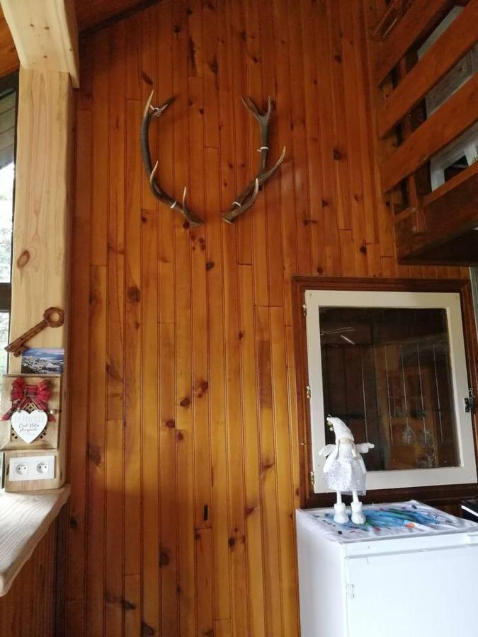 Haut De Chalet Le Bois De Cerf 莱桑格勒 外观 照片